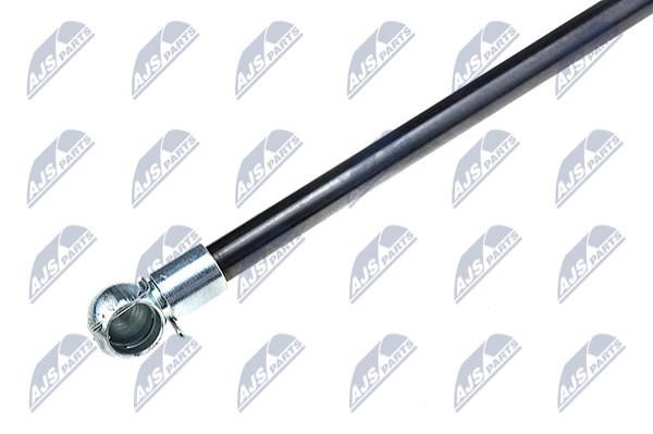 Tailgate strut NTY AE-DW-000