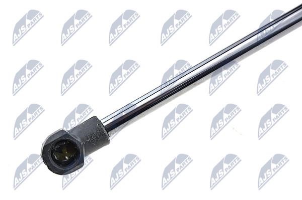Tailgate strut NTY AE-DW-004