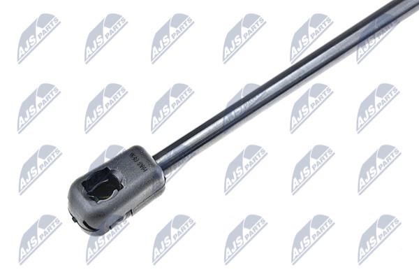 Tailgate strut NTY AE-DW-006