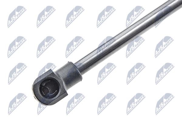 Tailgate strut NTY AE-DW-007