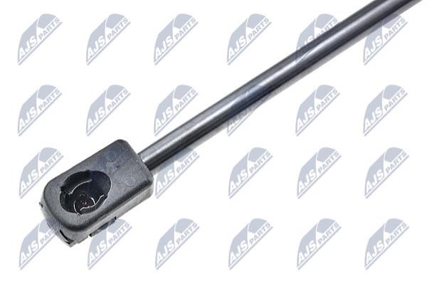 Tailgate strut NTY AE-DW-011