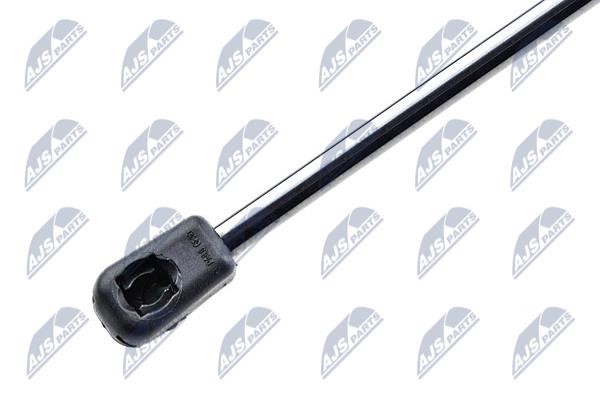 Tailgate strut NTY AE-FR-002