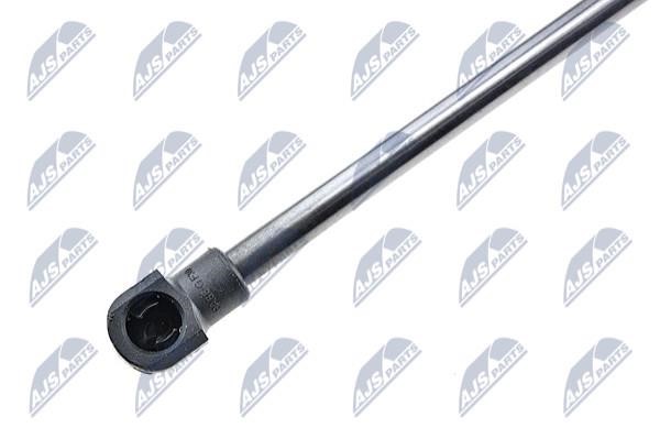 Tailgate strut NTY AE-FR-003