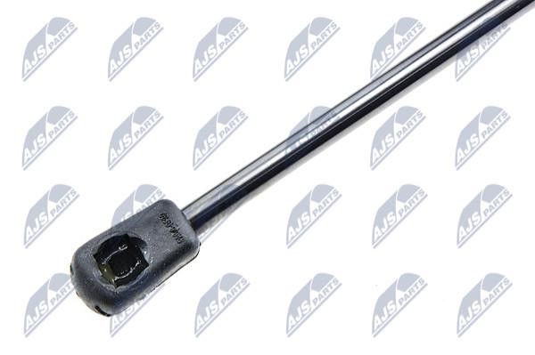 Tailgate strut NTY AE-FR-006