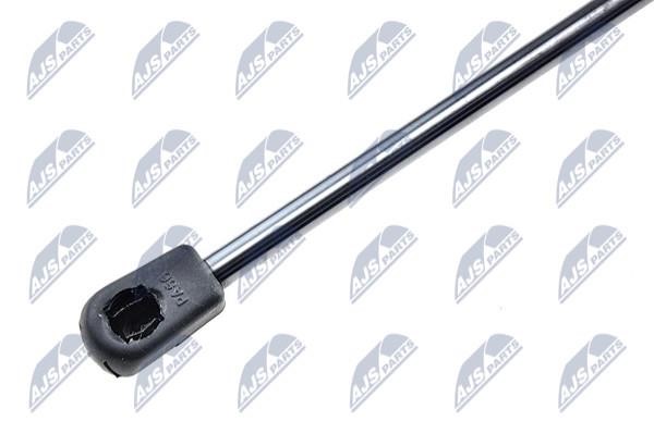 Tailgate strut NTY AE-FR-008