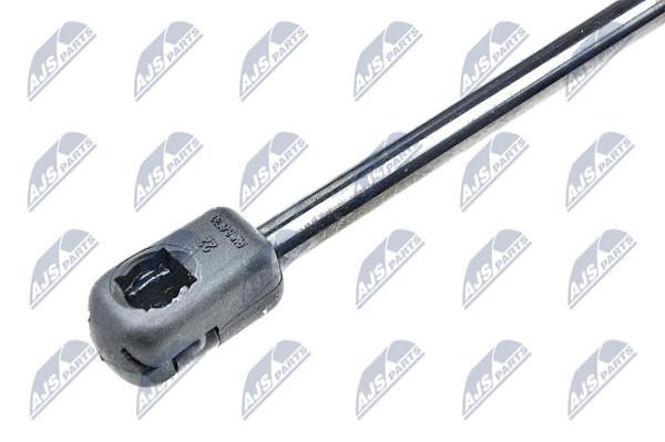 Tailgate strut NTY AE-FR-011