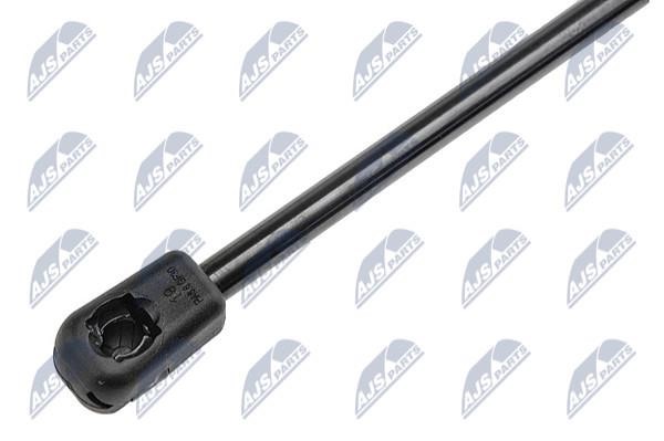 Tailgate strut NTY AE-FR-015