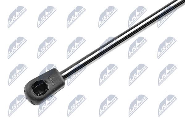 Tailgate strut NTY AE-FR-016