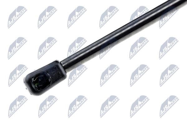 Tailgate strut NTY AE-FR-019