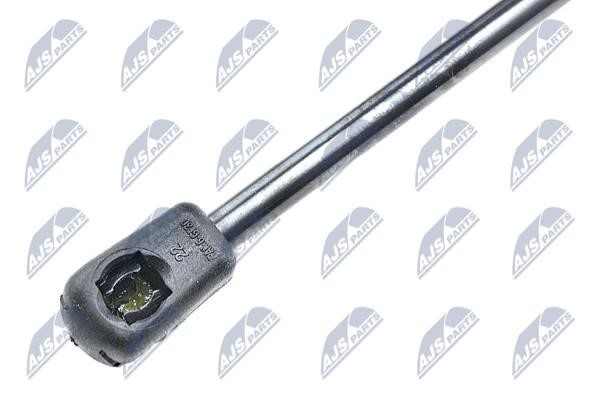 Tailgate strut NTY AE-FR-022