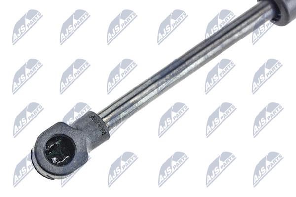Tailgate strut NTY AE-FR-024