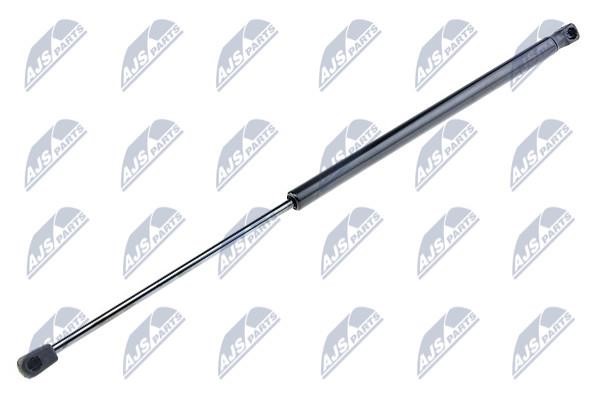 AEFR028 NTY Tailgate strut