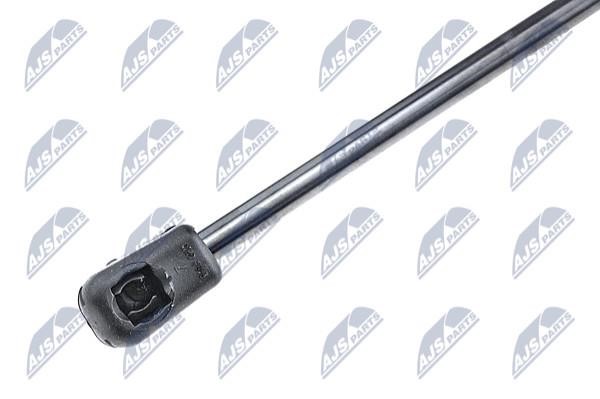 Tailgate strut NTY AE-FR-033