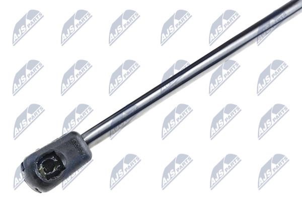 Tailgate strut NTY AE-FR-034