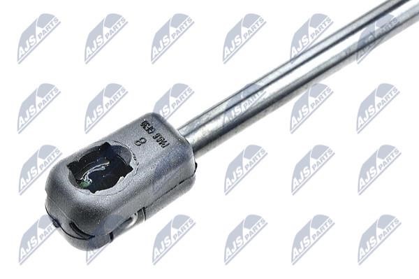 Tailgate strut NTY AE-FR-036
