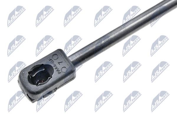 Tailgate strut NTY AE-FR-041