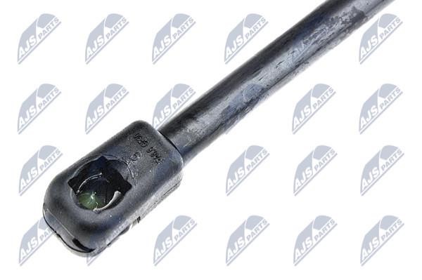 Tailgate strut NTY AE-FR-042