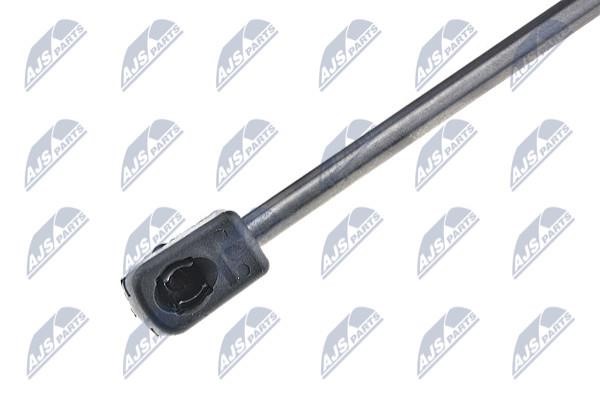 Tailgate strut NTY AE-FT-002