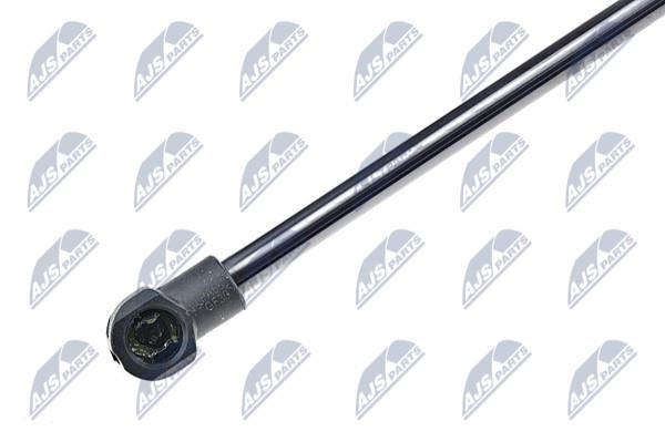 Tailgate strut NTY AE-FT-003