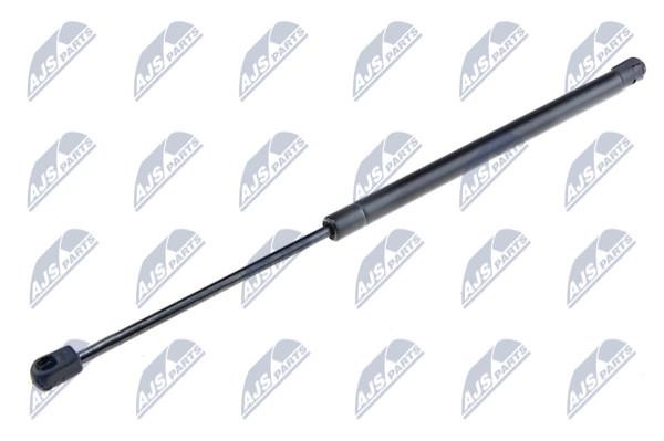NTY AE-FT-004 Gas Spring, boot-/cargo area AEFT004