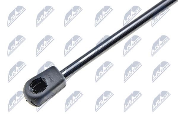 Tailgate strut NTY AE-FT-004