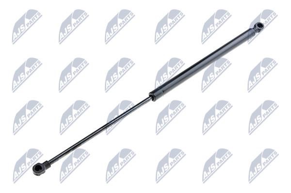 NTY AE-FT-005 Gas Spring, boot-/cargo area AEFT005