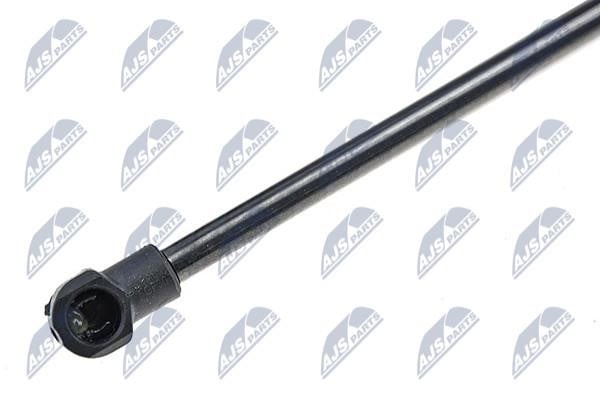 Tailgate strut NTY AE-FT-007