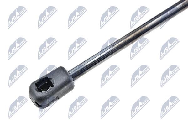 Tailgate strut NTY AE-FT-008