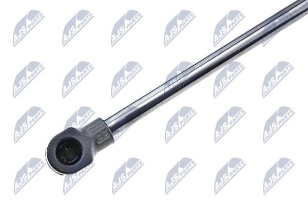 Tailgate strut NTY AE-FT-011