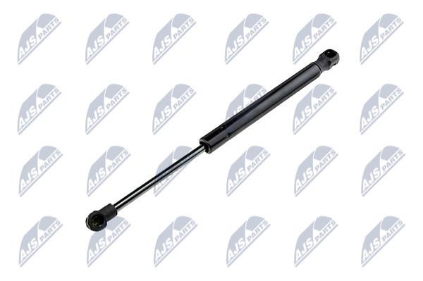 NTY AE-FT-012 Gas Spring, boot-/cargo area AEFT012
