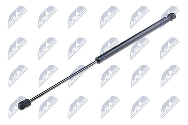 NTY AE-FT-013 Gas hood spring AEFT013