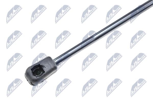 Tailgate strut NTY AE-FT-014