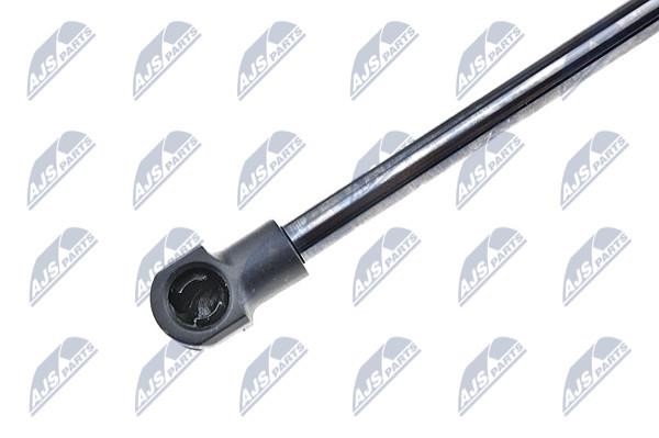 Tailgate strut NTY AE-FT-016