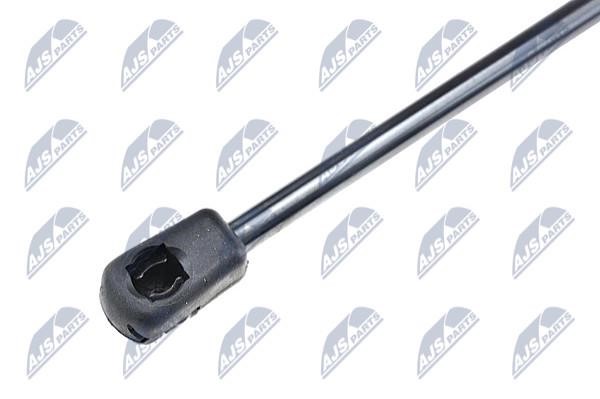 Tailgate strut NTY AE-FT-019