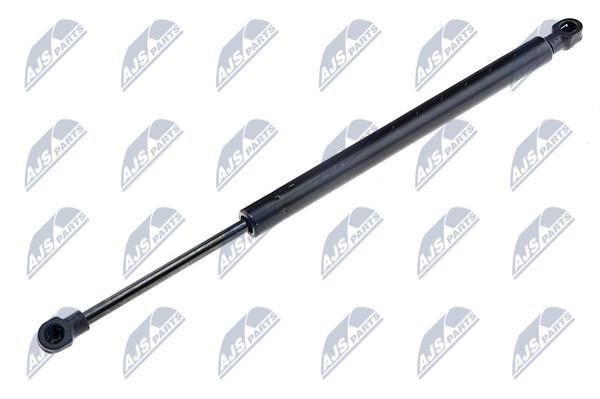 NTY AE-FT-025 Gas hood spring AEFT025