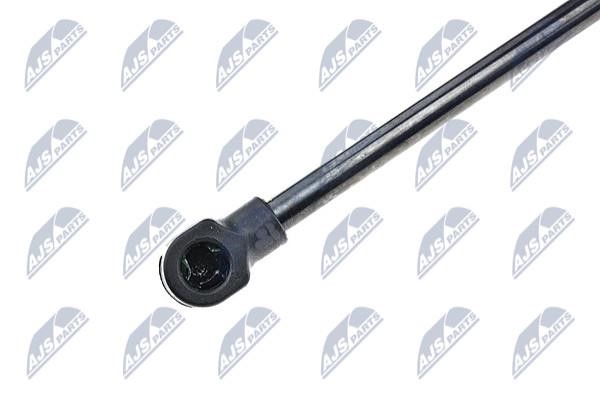 Hood shock absorber NTY AE-FT-025