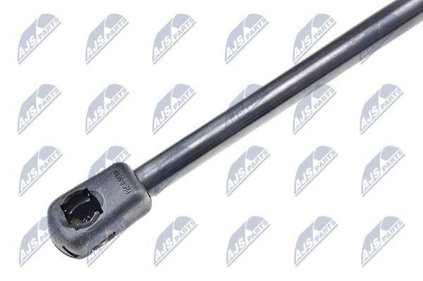 Tailgate strut NTY AE-FT-029