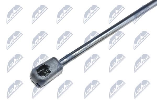 Tailgate strut NTY AE-FT-032