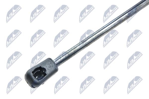 Tailgate strut NTY AE-FT-034