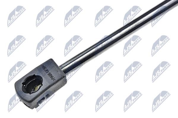 Tailgate strut NTY AE-FT-035