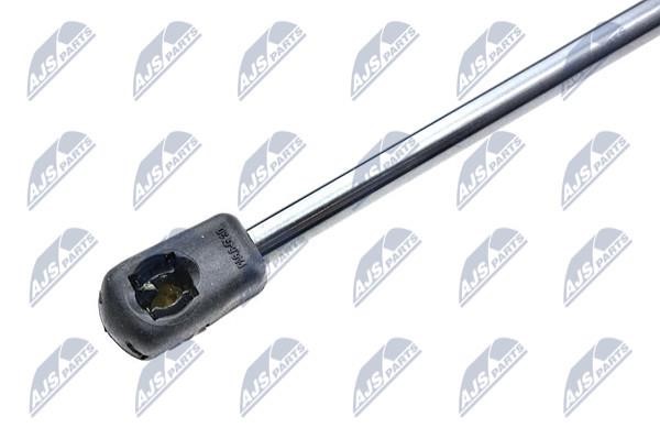 Tailgate strut NTY AE-FT-038