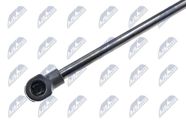 Tailgate strut NTY AE-HD-000