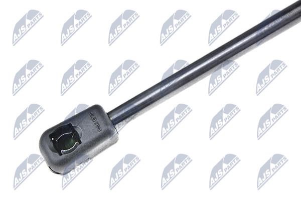 Tailgate strut NTY AE-HD-001