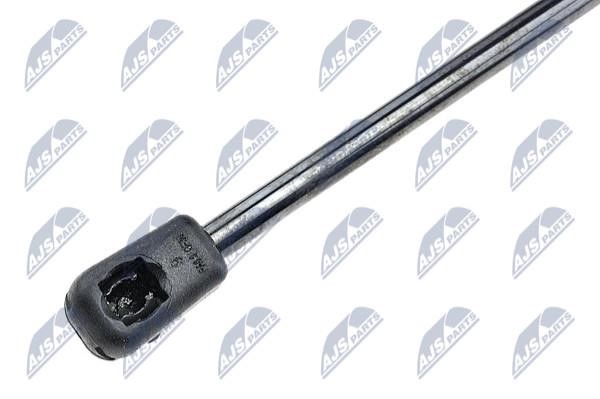 Tailgate strut NTY AE-HD-003