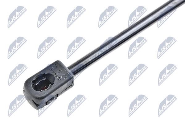 Tailgate strut NTY AE-HD-007