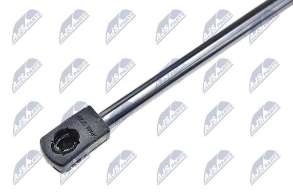 Tailgate strut NTY AE-HD-008