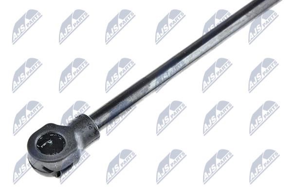 Tailgate strut NTY AE-HD-009