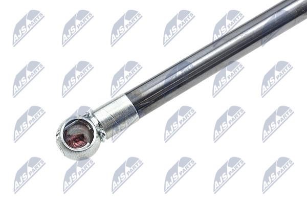 Tailgate strut NTY AE-HD-010