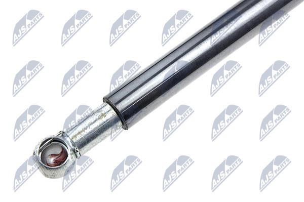 Tailgate strut NTY AE-HD-011