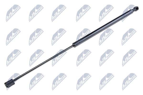 NTY AE-HY-013 Tailgate strut AEHY013 AEHY013 NTY Tailgate strut